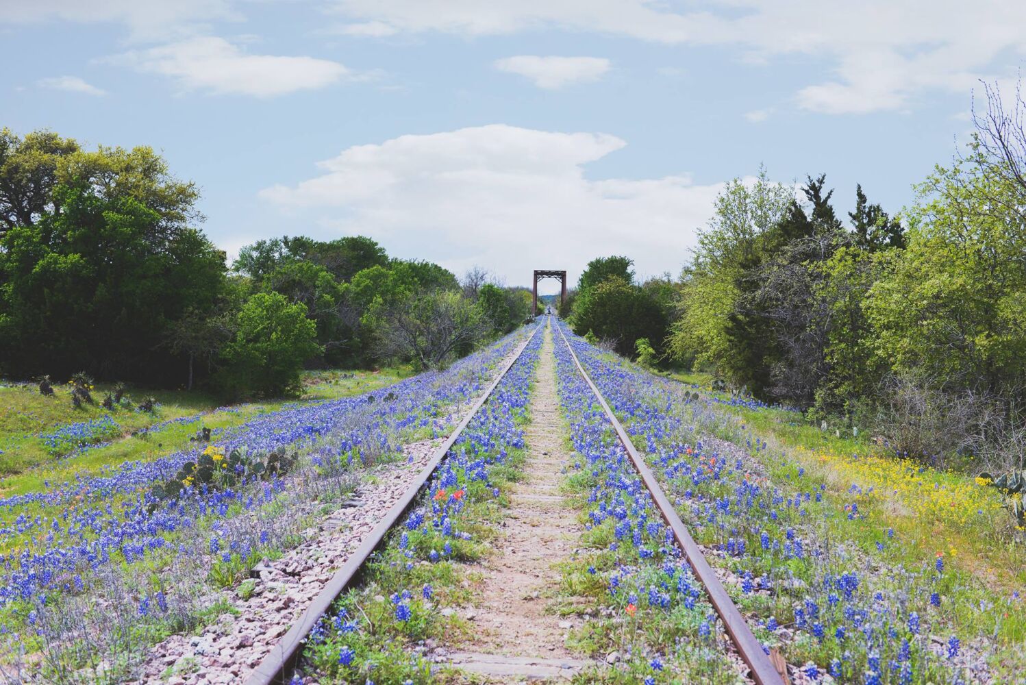 56757533 2422945381048872 3496767307873517568 N