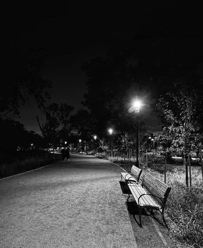 123197849 3784063098270420 8580105468429758991 N (1)