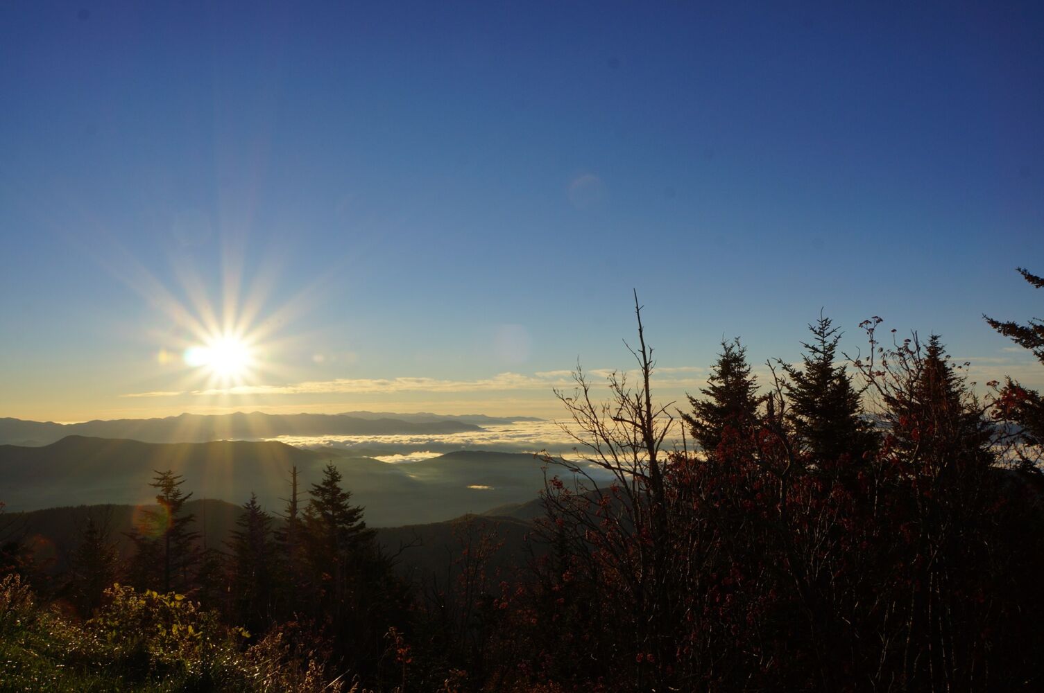 333745059 1239043110353704 5140820986710847881 N