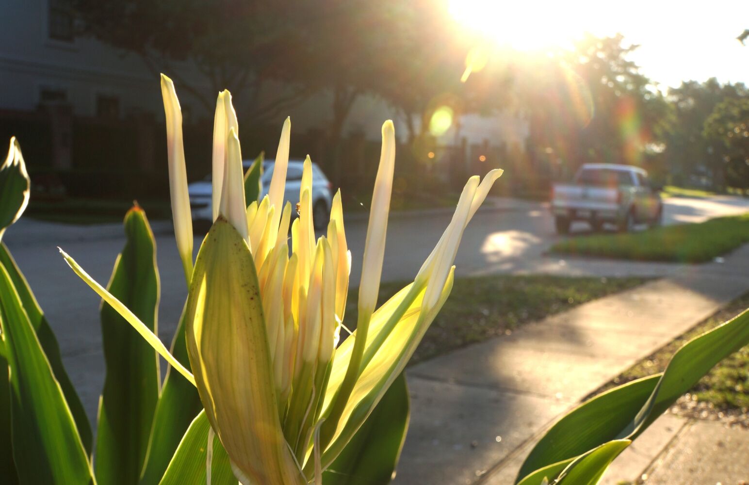 348583483 3461391014106916 3202165595557981721 N (1)