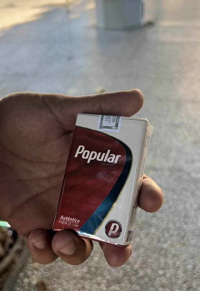 370564884 2070694183101333 901304429087317783 N