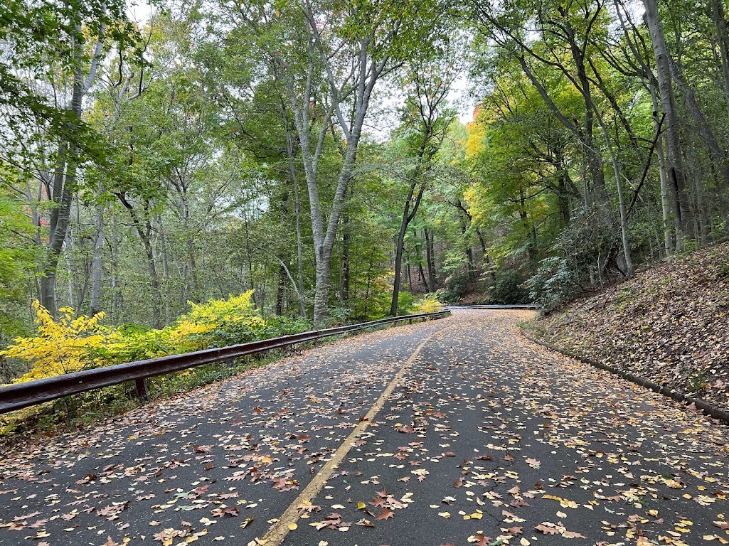 385000945 2088097801360971 1410763224636275039 N