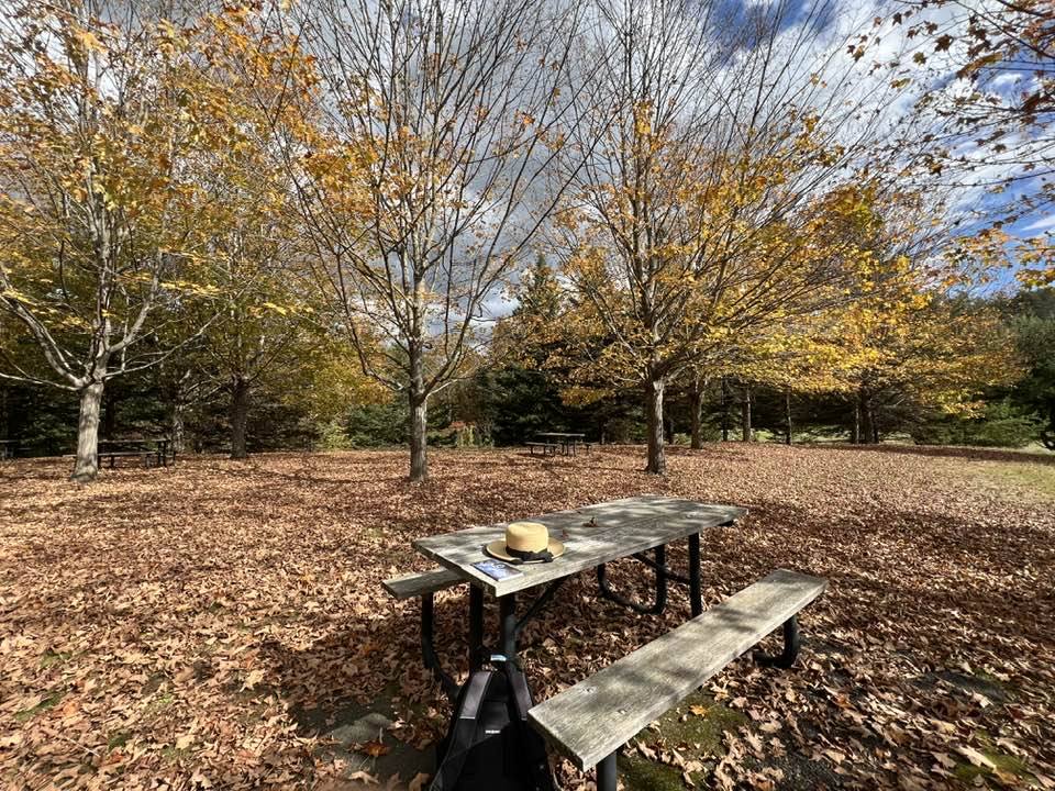 391610883 2096001757237242 553139674477441351 N