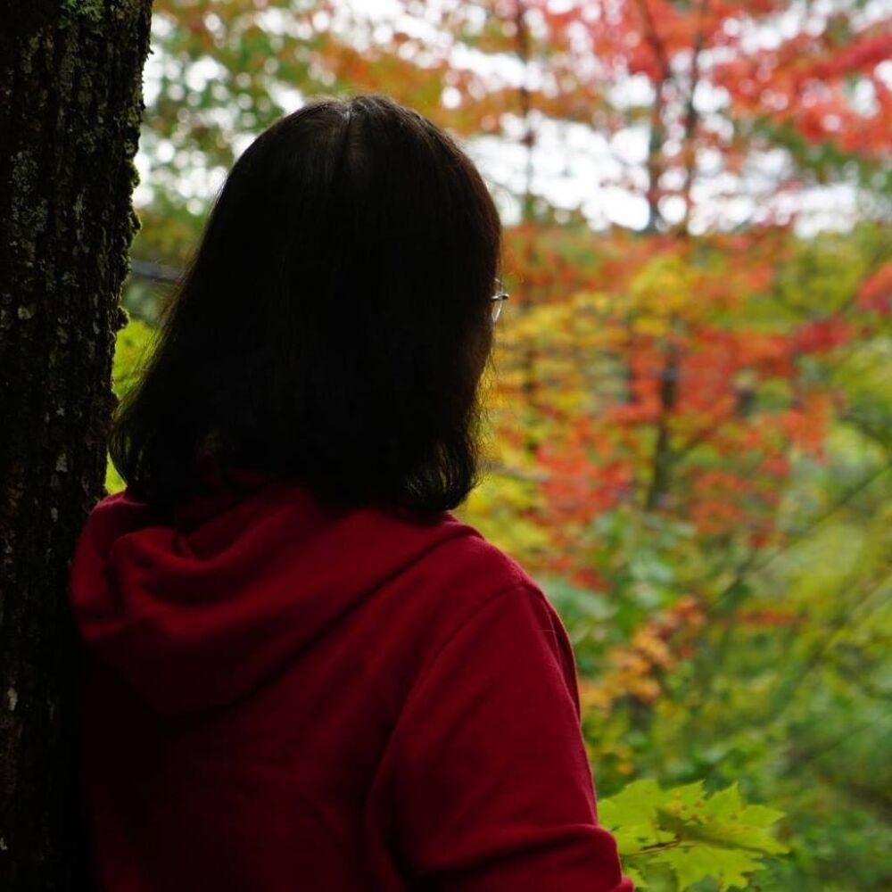 458465592 2318608868309862 7220576789649101297 N