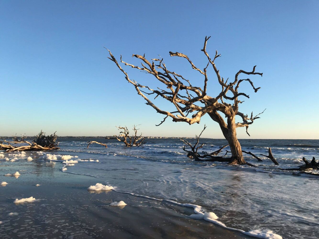 466913064 9152612351415441 1362870677492523622 N