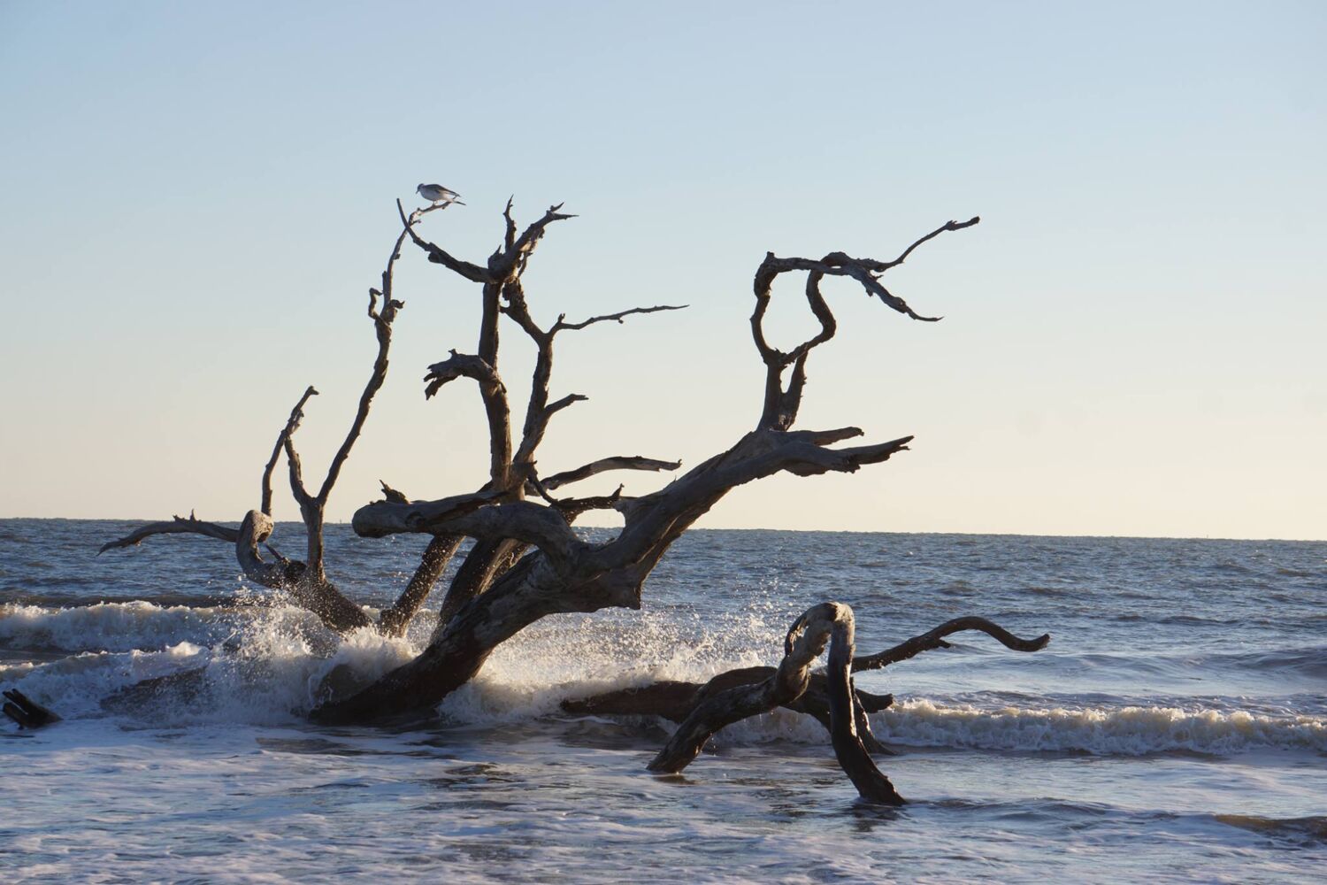 466976374 9152612334748776 138334306962139003 N