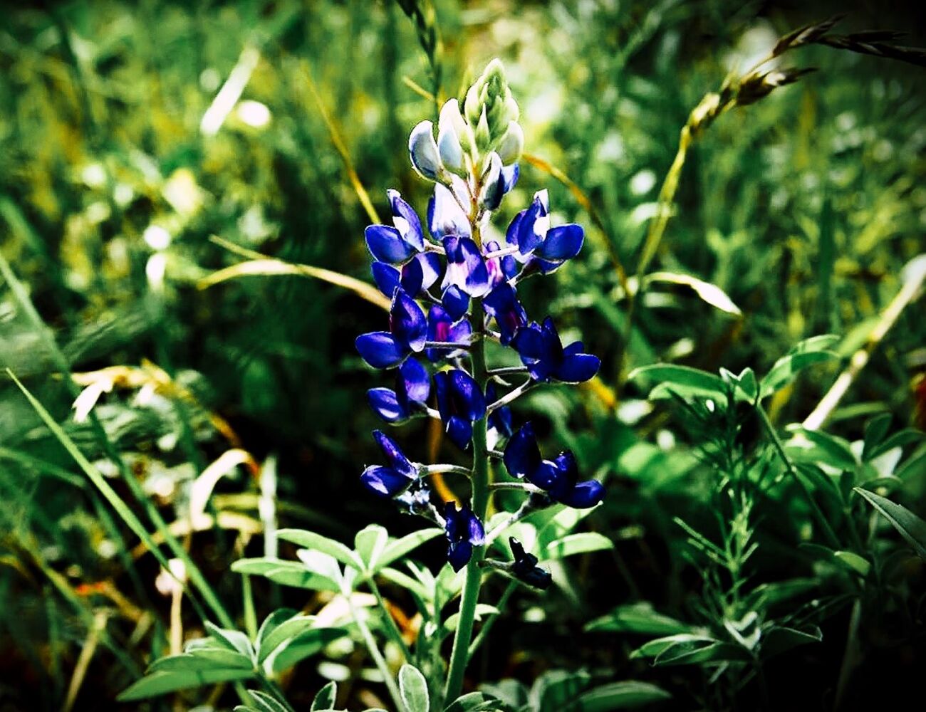 56990280 2422945677715509 1761601095815135232 N