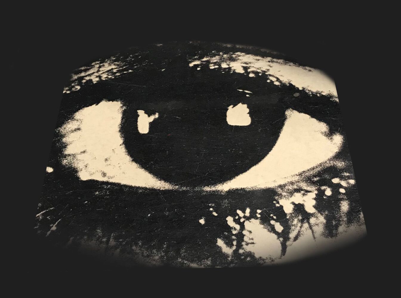 30624227 10209582372316012 6435464651412078592 N