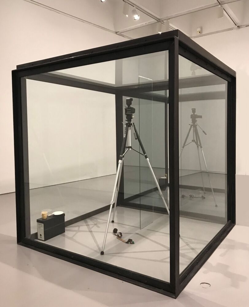 30653313 10209582371916002 5931701314424668160 N