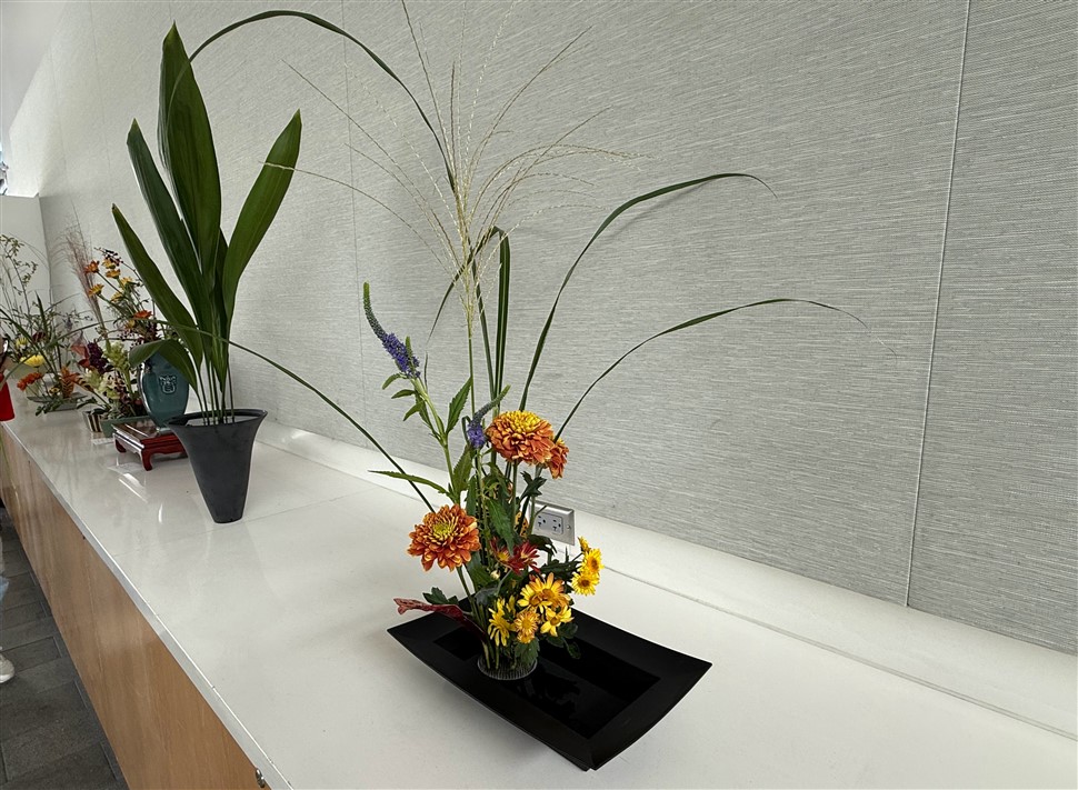 Img 1396 (970 X 711)